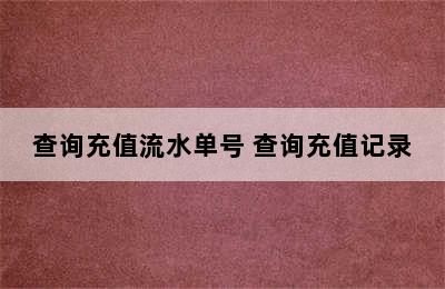 查询充值流水单号 查询充值记录